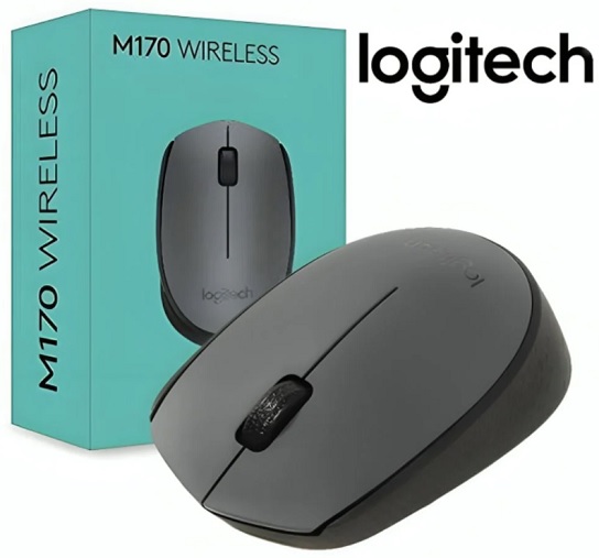 Mouse M170